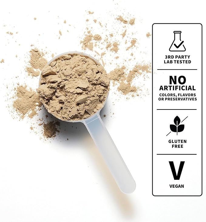 NOBULL Plant-Based Protein | Clean Plant Protein Powder for Muscle Growth Recovery &amp Performance Nutrition Chocolate 30 Servings