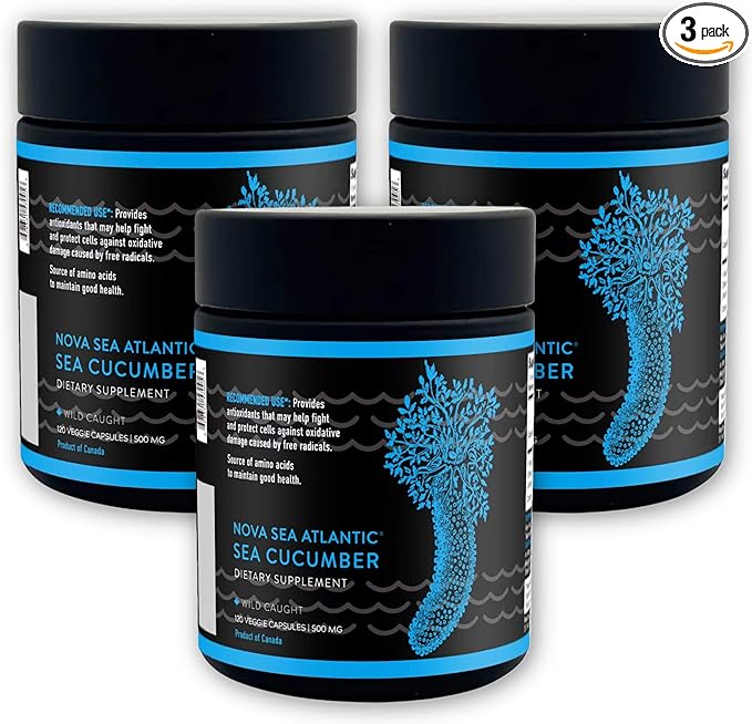 Wild Sea Cucumber Supplement Capsules Antioxidant Healthy Energy Supplement with Fucosylated Chondroitin Sulfate Collagen Glycosides Vitamins Minerals