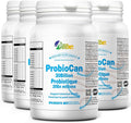 Probiocan 𝟮𝟬 𝗕𝗶𝗹𝗹𝗶𝗼𝗻 𝗖𝗙𝗨 𝗣𝗿𝗼𝗯𝗶𝗼𝘁𝗶𝗰𝘀 𝗳𝗼𝗿 𝗗𝗶𝗴𝗲𝘀𝘁𝗶𝘃𝗲 𝗛𝗲𝗮𝗹𝘁𝗵 7 Strains of Probiotic for Women 4 Packs of 60 Capsules (240 Days Supply)