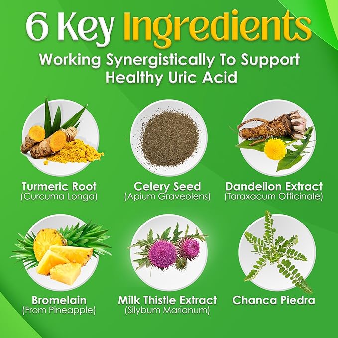 NutriGout Uric Acid Cleanse Supplement w/Turmeric Celery Seed Bromelain Milk Thistle Dandelion and Chanca Piedra 60 Vegetarian Capsules of 500 mg Each