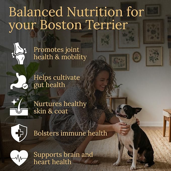 Boston Terrier Multivitamins 90 Count Made in The USA with Real Bacon