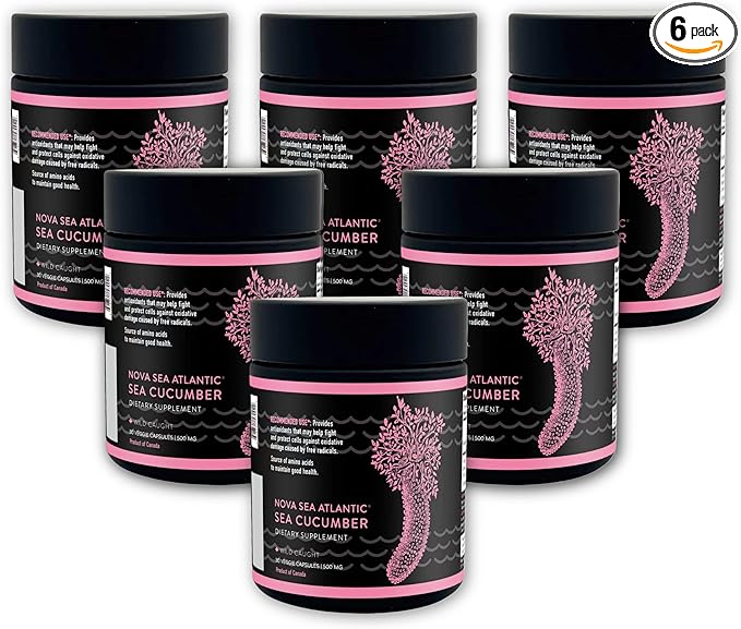 Wild Sea Cucumber Supplement Capsules Antioxidant Healthy Energy Supplement with Fucosylated Chondroitin Sulfate Collagen Glycosides Vitamins Minerals(Pack of 6)