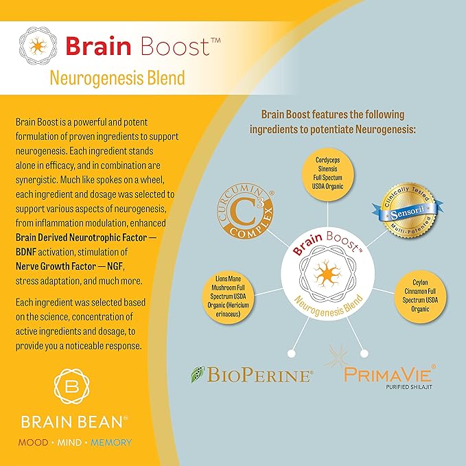 Brain Boost Capsules | with Curcumin Cordyceps Hericium Ceylon Cinnamon Purified Shilajit and Ashwagandha | 30 Servings