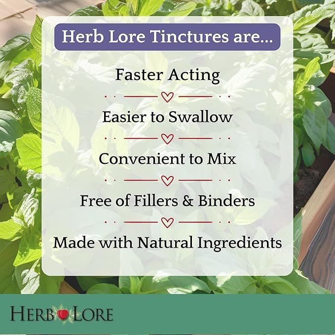 Herb Lore Organic Adrenal Tonic Tincture - Herbal Adrenal Support Supplement - Adaptogen Drops with Ashwagandha Rhodiola Eleuthero Holy Basil and Schisandra - Alcohol Free - Liquid - 4 Fl Oz