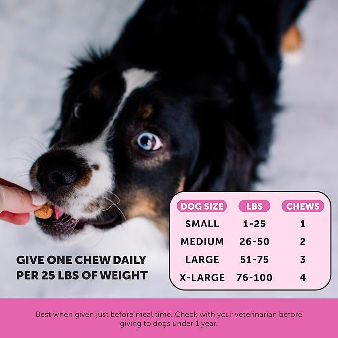 Dog Multivitamin Max Strength 15-in-1 Multivitamin for Dogs – Dog Vitamins &amp Supplements with Glucosamine Probiotics &amp Omega 3s – Supports Joint Heart Immune Skin &amp Coat Health – Chic