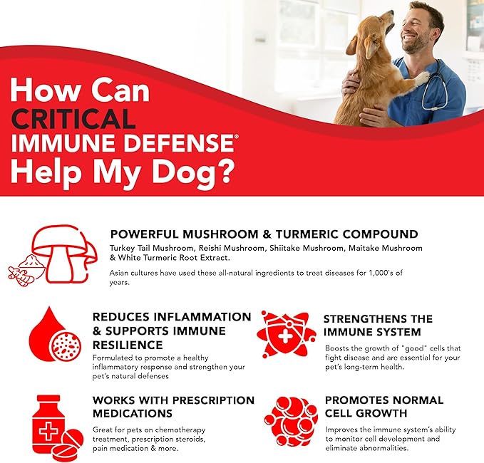 Critical Immune Defense for Dogs &amp Cats Supports Normal Cell Growth - Turkey Tail Reishi Shiitake and Maitake Mushroom Formula with Patented White Turmeric Root Extract (Large / 90 Day Avg. Sup