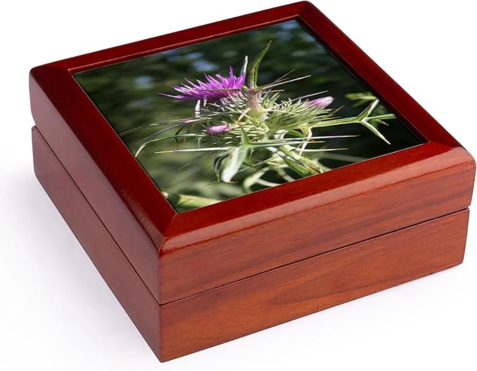 3dRose Syrian Thistle Flowerhead - Thistle flowering plants Scotland agavanos purple flower wildflower Jewelry Box jb-52666-1