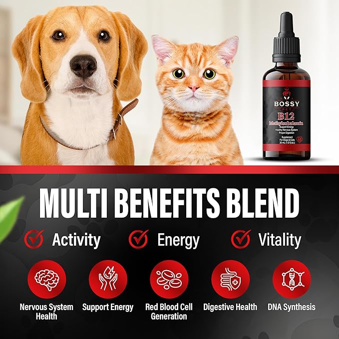 Vitamin B12 for Dogs &amp Cats - Liquid Supplement for Dogs &amp Cats - Vet-Formulated Methylcobalamin Drops - Supports Energy Nerve Function &amp Appetite - Fast-Absorption- Easy to Administer.