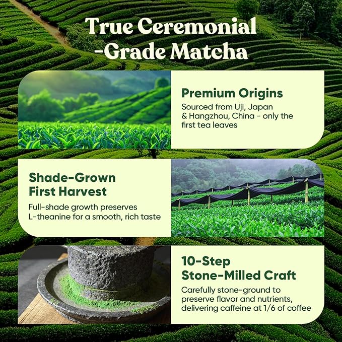 Venture Pal Ceremonial Grade Mushroom Matcha Powder + Venture Pal Calming Powdered Drink Mix - Energy Relax &amp Focus - Non GMO &amp Vegan