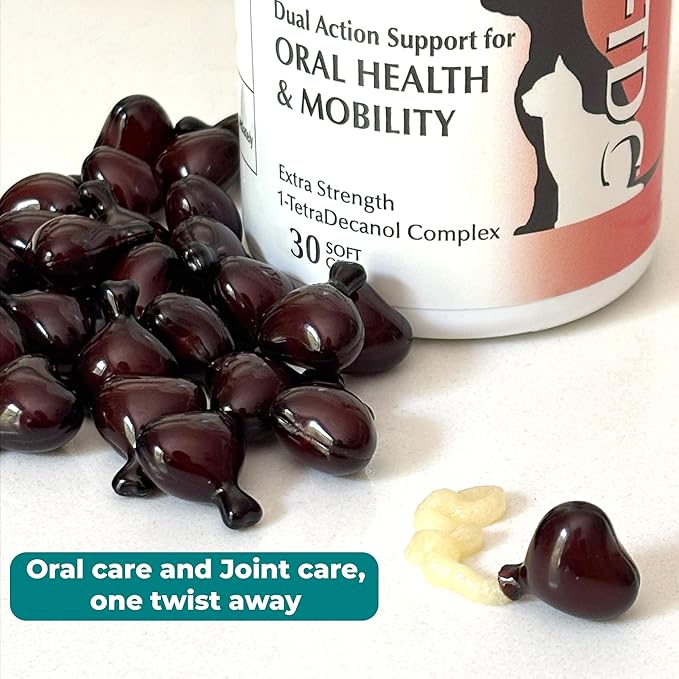 1TDC WorksSoWell Dual Action Hip and Joint Supplement for Dogs &amp Cats - for Large &amp Small Breed - Great for Oral Health Stamina Recovery &amp Arthritis Pain Relief -30 ct