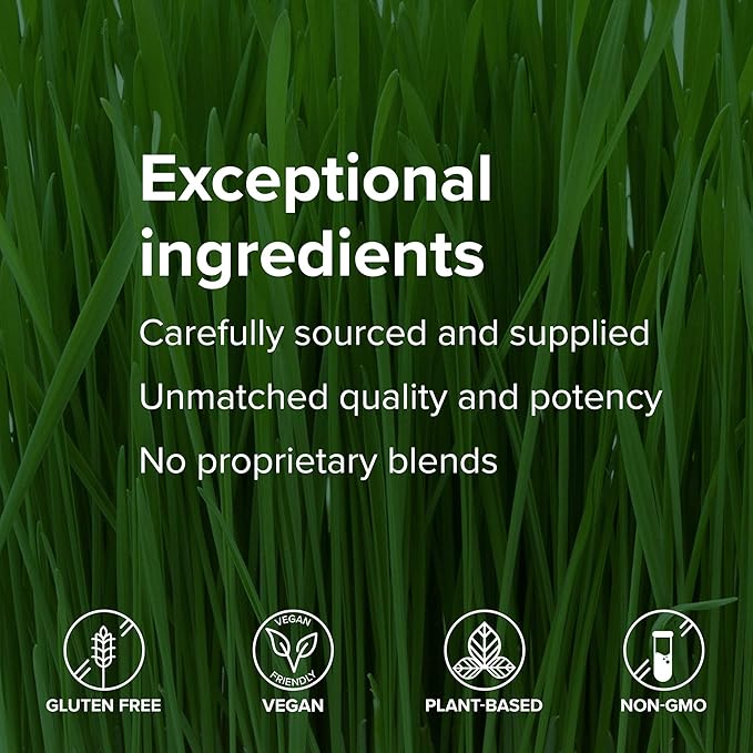 Vibrant Health Maximum Vibrance Complete Vegan Meal Shake with Plant-Based Protein Vanilla Bean 15 Servings