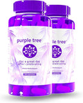 purple tree Post-Celebration Wellness Supplement for After-Drink Support | Hydration &amp Liver Health | Dihydromyricetin DHM Milk Thistle Electrolytes Vitamin B Willow Bark Quercetin (180 Pills
