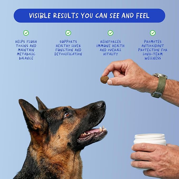 Milk Thistle for Dogs - 90 Soft Chews - Liver and Kidney Support - Hepatic Support with EPA &amp DHA - Detox - Liver Supplement for Dogs with Choline and L-Arginine.