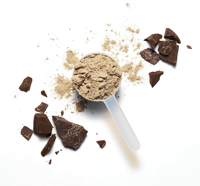 NOBULL Plant-Based Protein | Clean Plant Protein Powder for Muscle Growth Recovery &amp Performance Nutrition Chocolate 30 Servings