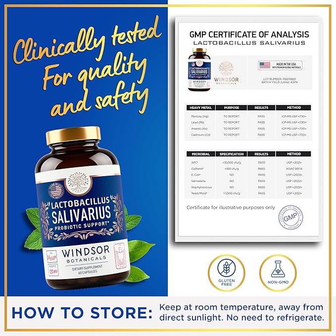 WINDSOR BOTANICALS Lactobacillus Salivarius Probiotic Capsules - L Salivarius Probiotic Oral Dental Probiotics for Bad Breath Teeth and Gums Health and Immune Support - 24bn CFU 2-Pack 120 Caps