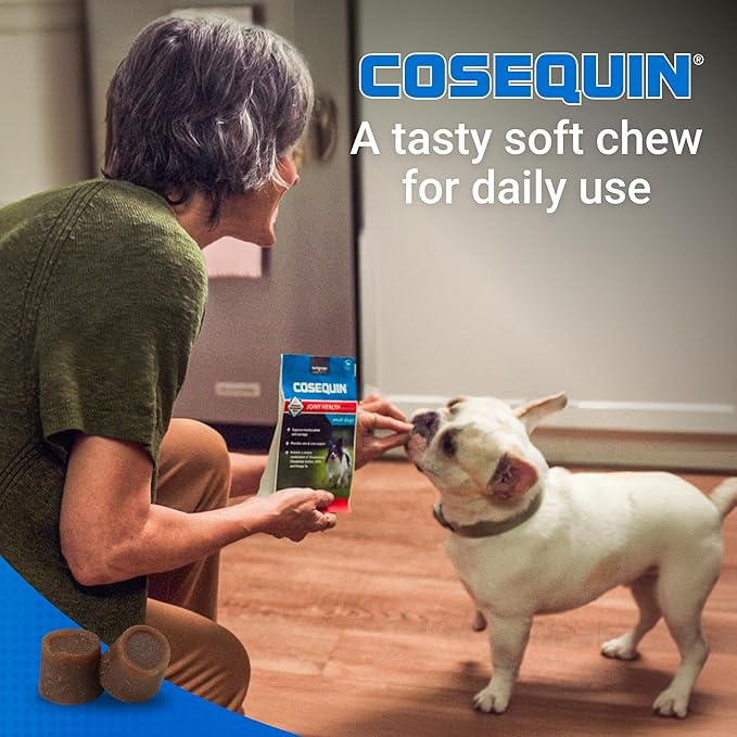 Cosequin Minis Soft Chews Maximum Strength with MSM Plus Omega345 Count (Pack of 2)
