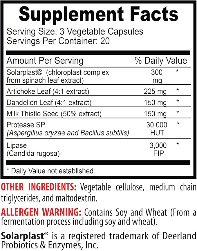 liver kidney supplement - LIVER SUPPORT COMPLEX - milk thistle extract liver cleanse detox dandelion liver support protease liver supplement artichoke extract lipase Chloroplast2B 120Caps
