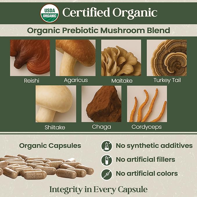 Vital Planet - Organic Flora Probiotics for Gut Balance Shelf Stable Probiotic 30 Billion CFU 60 Diverse Strains Prebiotic Organic Mushroom Blend for Immune Support and Digestive Health 30 Capsules