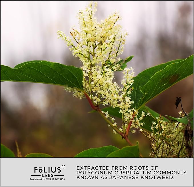 Ultra High Purity Resveratrol Capsules - 99% Trans-Resveratrol - Japanese Knotweed Extract - Support Immunity Support Healthy Aging - 120 Caps Reservatrol Supplement