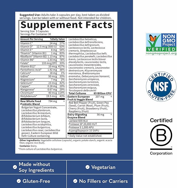 Garden of Life - RAW Probiotics Men - 90 Vegetarian Capsules
