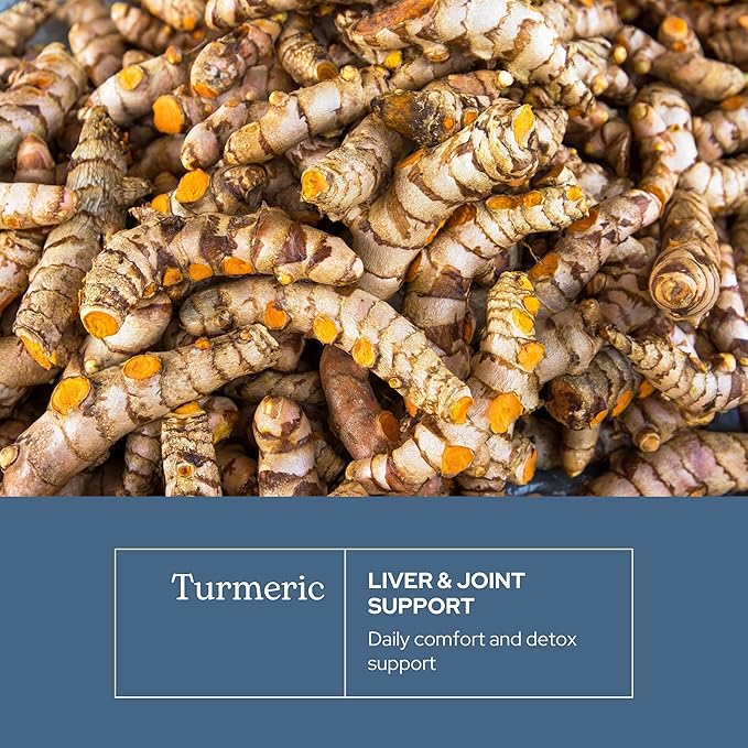 Eclectic Herb - Organic Turmeric Capsules | Musculoskeletal System &amp Joint Health Support | Herbal Supplement | Vegan Non-GMO Gluten Free Freeze-Dried (90 CT | 395 mg)