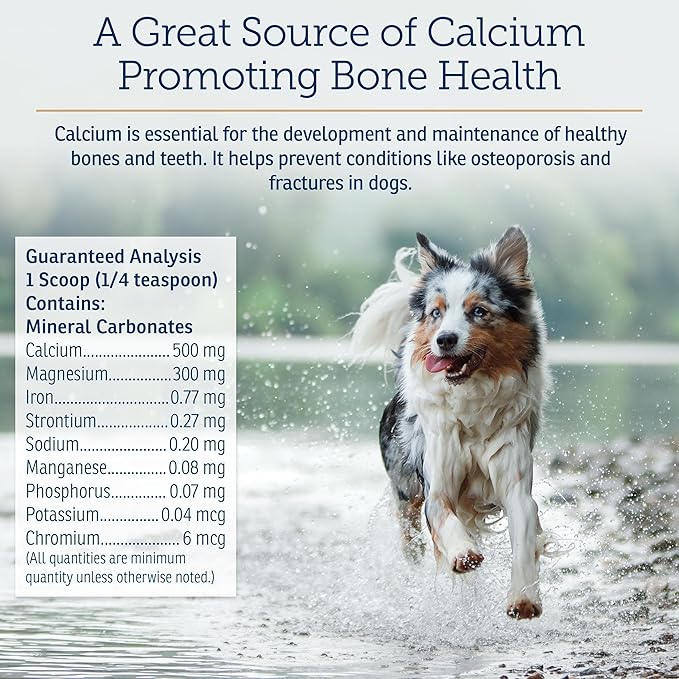 Rx Vitamins Canine Minerals - Essential Minerals for Dogs - Calcium Magnesium Iron Supplement Bone and Joint Supplement for K9 Immune Support - 16oz