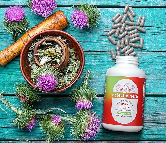 Eclectic Institute Raw Freeze-Dried Non-GMO Milk Thistle | with Silymarin for Liver Support - Detox Cleanse &amp Maintain | 240 CT