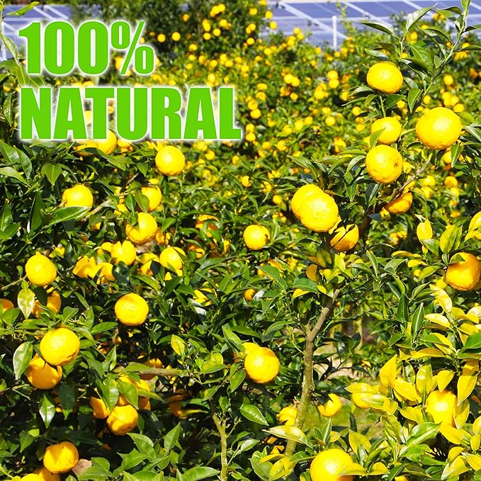 YAMASAN KYOTO UJI Yuzu Juice Vinegar All Natural Slowly Crafted in Japan Blending Artisanal Apple Cider Vinegar No Additives 300ml