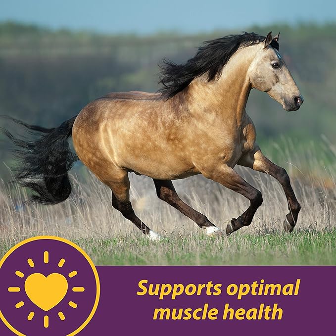 Farnam Horse Health Vita E &amp Selenium Crumbles Horse Vitamin Supplement Supports optimal muscle health &amp antioxidant support 3 lbs. 96 day supply
