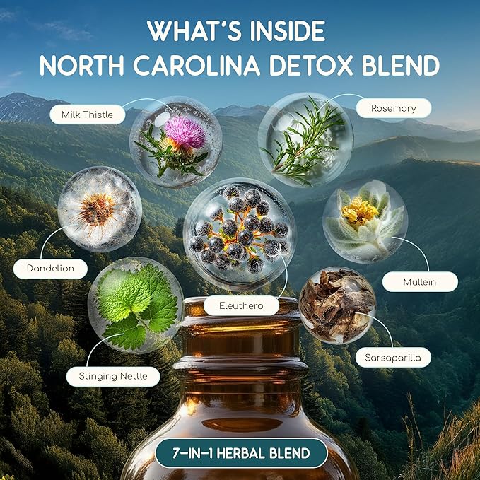 HerbEra North Carolina Herbal Detox Blend - USDA Organic Extract Made in USA | Immune &amp Liver Support Liquid Drops | Dandelion Root Eleuthero Milk Thistle Sarsaparilla | 2 fl oz