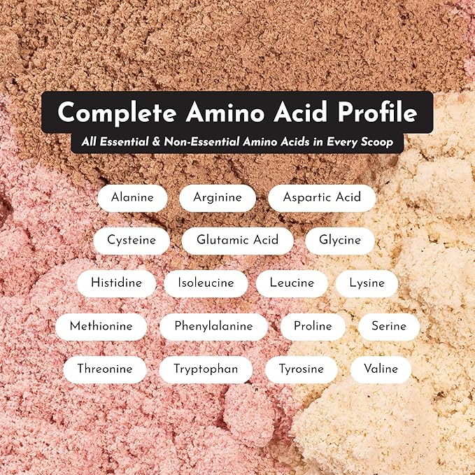 JUST INGREDIENTS Chocolate Protein Powder – 20-Serving Blend with 100% Grass-Fed Whey &amp Organic Plant Proteins – Rich Cocoa Flavor – Supports Muscle Recovery Energy*