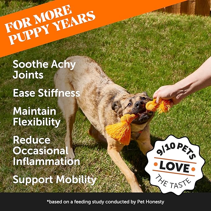 Hemp Hip &amp Joint Supplement for Dogs - Hemp Oil &amp Powder - Glucosamine Chondroitin for Dogs Turmeric MSM Green-Lipped Mussel Supports Mobility May Reduce Discomfort (Bacon)