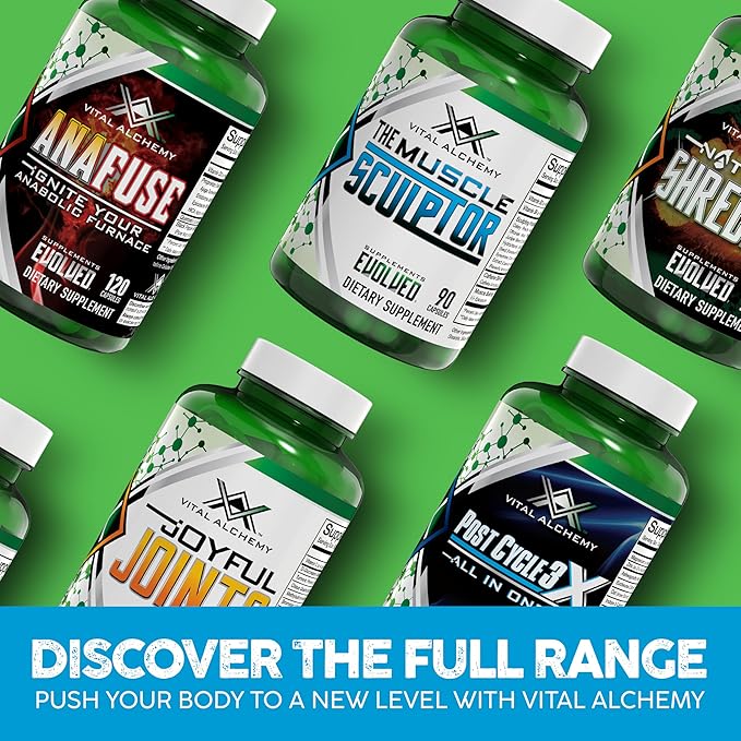 Vital Alchemy The Muscle Sculptor– Muscle Builder with Vitamin B3 B6 Phosphatidylserine Epicatechin &amp Cayenne – Supports Muscle Growth Focus Energy &amp Protein Synthesis Made in USA – 90 C