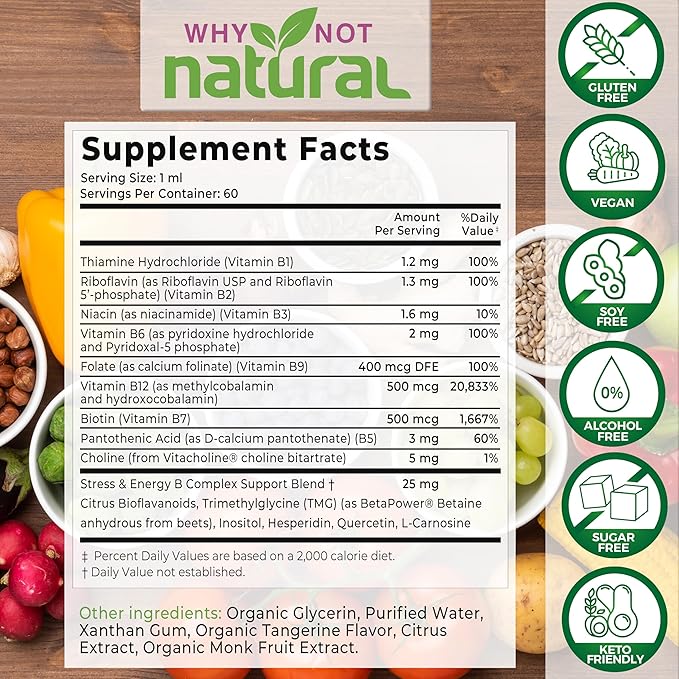 Why Not Natural Liquid Iron + Vitamin B Complex