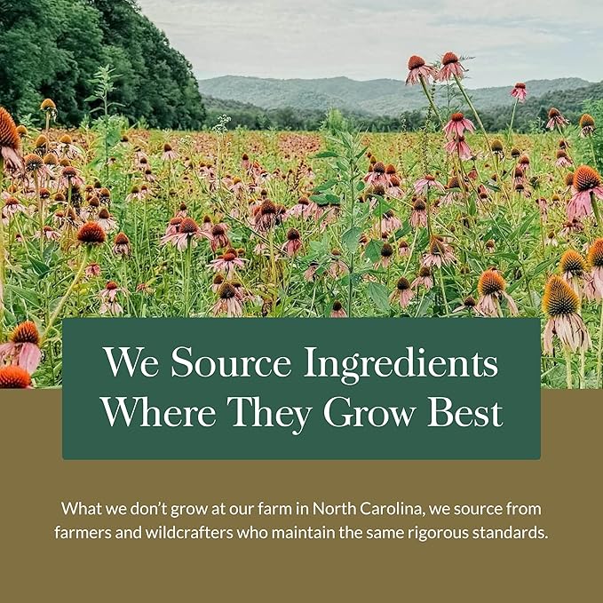 Gaia Herbs Turmeric Supreme Gummies Extra Strength - Supports Healthy Inflammatory Response in Healthy Individuals* - Lemon Ginger Flavor - 120 Vegan Organic Gummies (40 Servings)