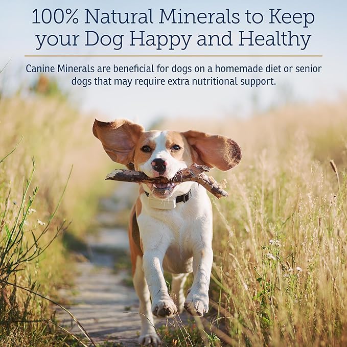 Rx Vitamins Canine Minerals - Essential Minerals for Dogs - Calcium Magnesium Iron Supplement Bone and Joint Supplement for K9 Immune Support - 16oz