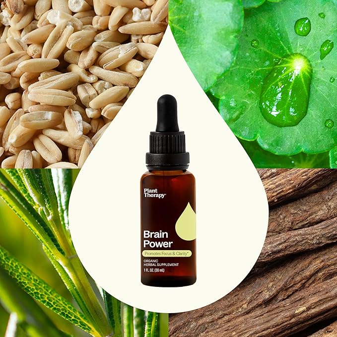 Plant Therapy Organic Brain Power Tincture 30 mL (1 oz) Supports Brain Focus &amp Clarity Helps Mental Alertness &amp Memory Brain Boost Supplement Packed with Benefits