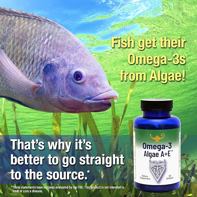 RnA ReSet Omega-3 Algae A+E – Plant-Based DHA &amp EPA with Vitamins A and E Fish Oil Alternative (60 Softgels) NSF Contents Certified Cardiovascular Health Joint Support Brain Health