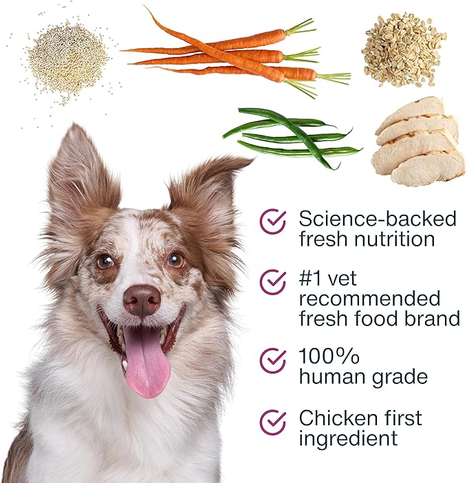 JustFoodForDogs JustFresh Boosts Hip &amp Joint Support Dog Food Toppers with Glucosamine to Support Hip Mobility &amp Joint Flexibility Human-Grade Fresh Pet Meal Booster 8 oz Pouches - 8 Pack