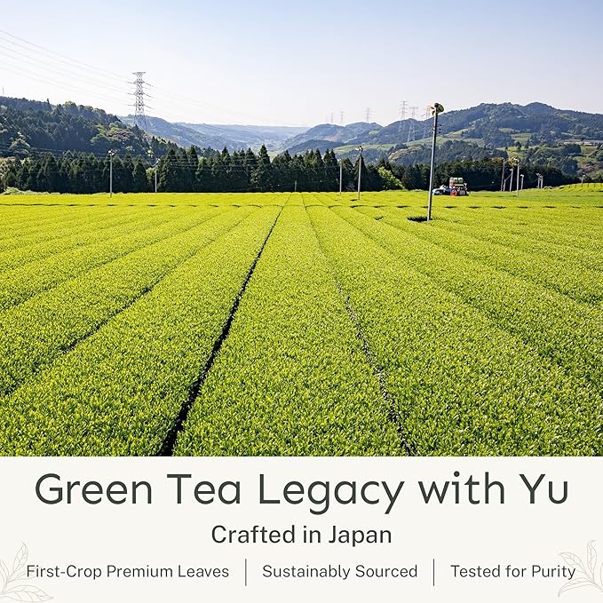 Yu Tea Decaf Organic Sencha Green Tea Powder 30 Instant Packets | Rich in Antioxidants EGCG &amp L-Theanine | Pure Japanese First Harvest Leaf | Caffeine-Free &amp Unsweetened | Single Serve Stic