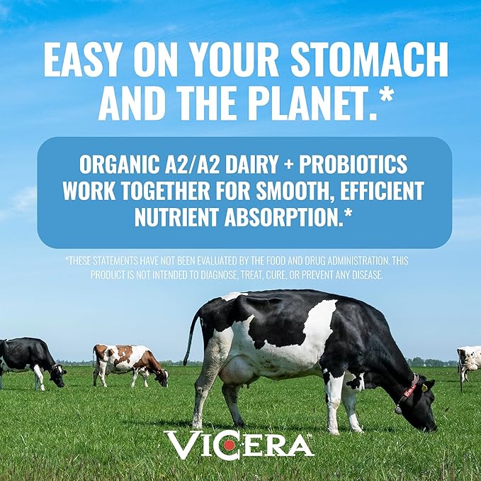 A2 Protein Powder Vanilla Creme 25 G Protein per Serving Organic A2/A2 Whey Casein Blend with Probiotics and Celtic Sea Salt Gluten Free Workout Supplement Non GMO 20 Servings 27.4 Oz