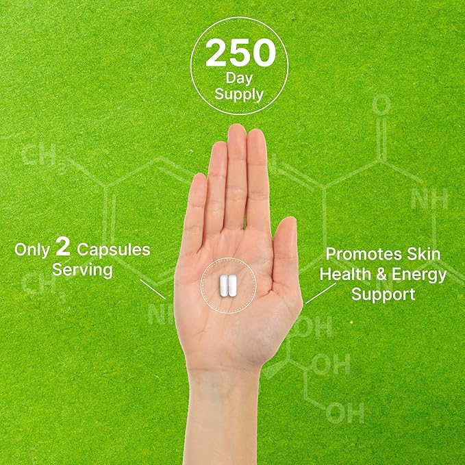 Vitamin B3 Nicotinamide 1000mg Per Serving – 500 Capsules Flush Free Niacin Essential B3 – Supports Healthy Skin &amp Energy Production – Non-GMO