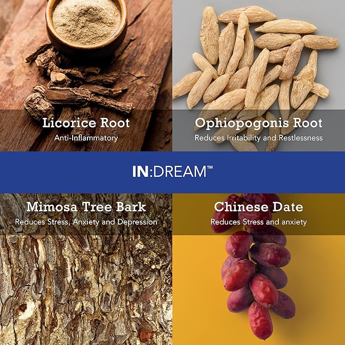 in Dream - Natural Sleep Aid Powder Drink Mix Herbal Adaptogen &amp Antioxidant Blend – Natural Night Sleep Drink for Deep Sleep Relaxation &amp Recovery – Pomegranate Flavor 20 Servings
