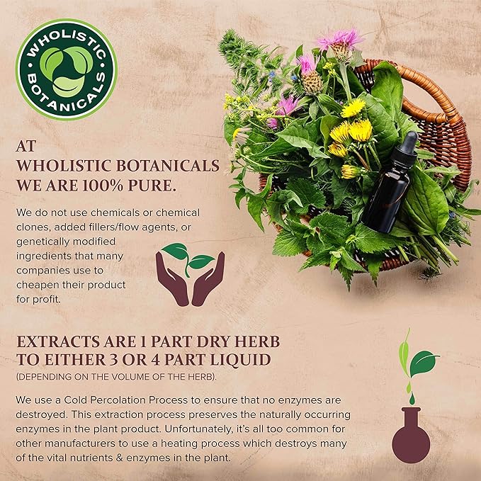 Live Plant Pea Protein - Chocolate