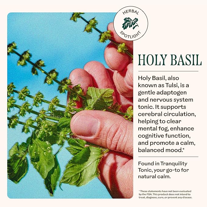 Wooden Spoon Herbs Tranquility Tonic | USDA Certified Organic Stress Relief &amp Sleep Aid Tincture | 6 Herb Complex with Organic Skullcap Ashwagandha Oat Tops Holy Basil Lavender | 2oz 32 Servi