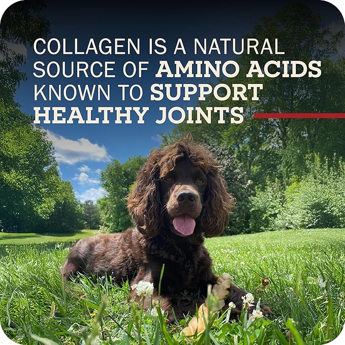 Redbarn Pet Products Collagen Braid - Small Pack of 25