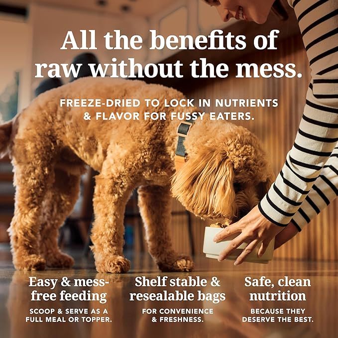 K9 Natural Beef &amp Hoki Freeze Dried Dog Food High-Meat Natural Complete Meal or Meal Toppers for Dogs Grass-Fed Beef &amp Hoki from New Zealand Grain-Free GMO-Free Complete &amp Balanced Nu