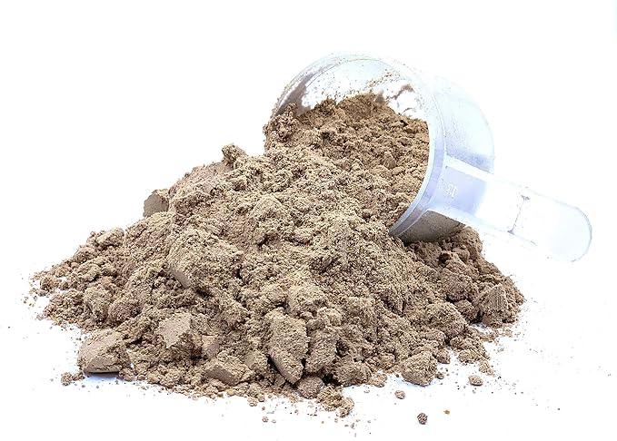 Live Plant Pea Protein - Chocolate
