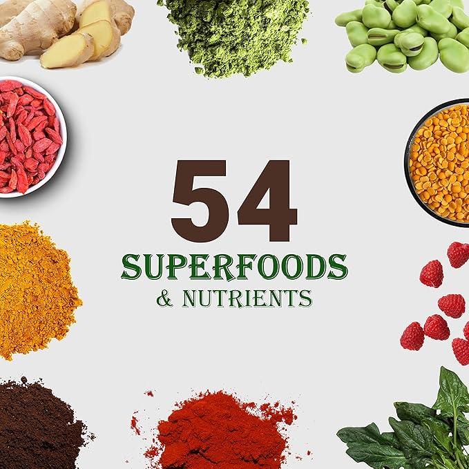 UpNourish Chocolate Vegan Protein Powder 54 Superfoods Powder1.5 Billion CFU Probiotics 21g Plant Based ProteinNo Sugar No Dairy No GMO Dairy FreeMeal Replacement Shake Keto-Friendly Low-Carb Diet