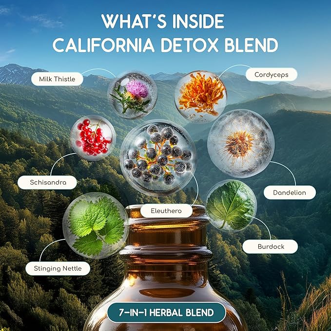 HerbEra California Herbal Detox Blend - USDA Organic Extract Made in USA | Immune &amp Liver Support Liquid Drops | Burdock Dandelion Root Eleuthero Milk Thistle Schisandra | 2 fl oz